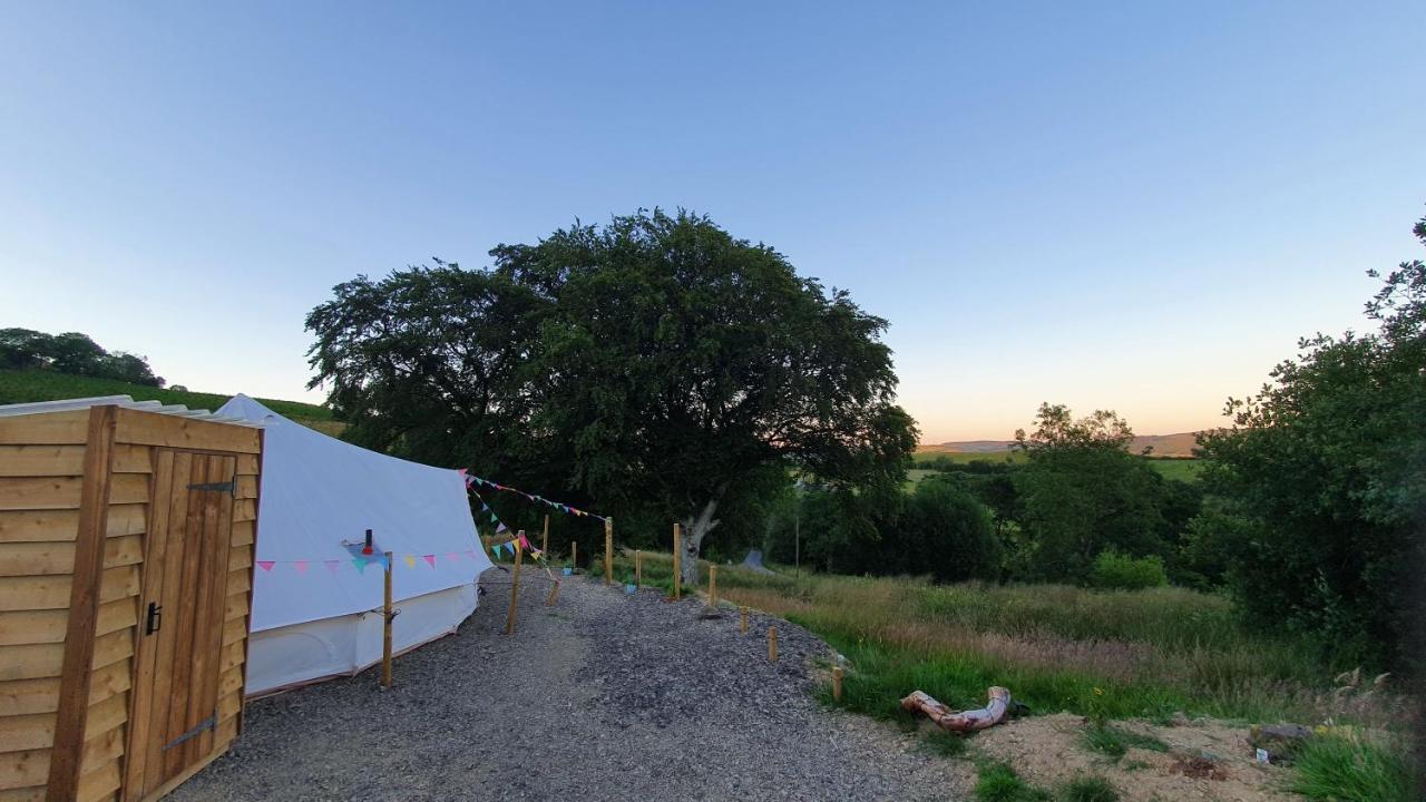 Calon Y Goedwig Glamping Hotel Llandovery Eksteriør billede