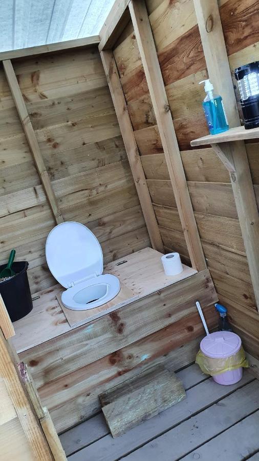 Calon Y Goedwig Glamping Hotel Llandovery Eksteriør billede