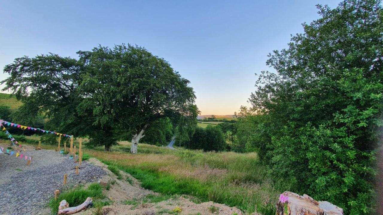 Calon Y Goedwig Glamping Hotel Llandovery Eksteriør billede