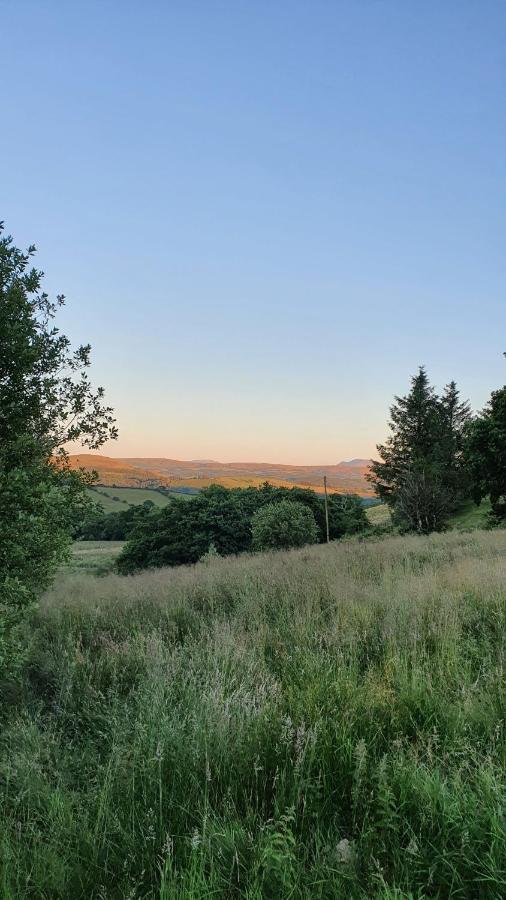 Calon Y Goedwig Glamping Hotel Llandovery Eksteriør billede