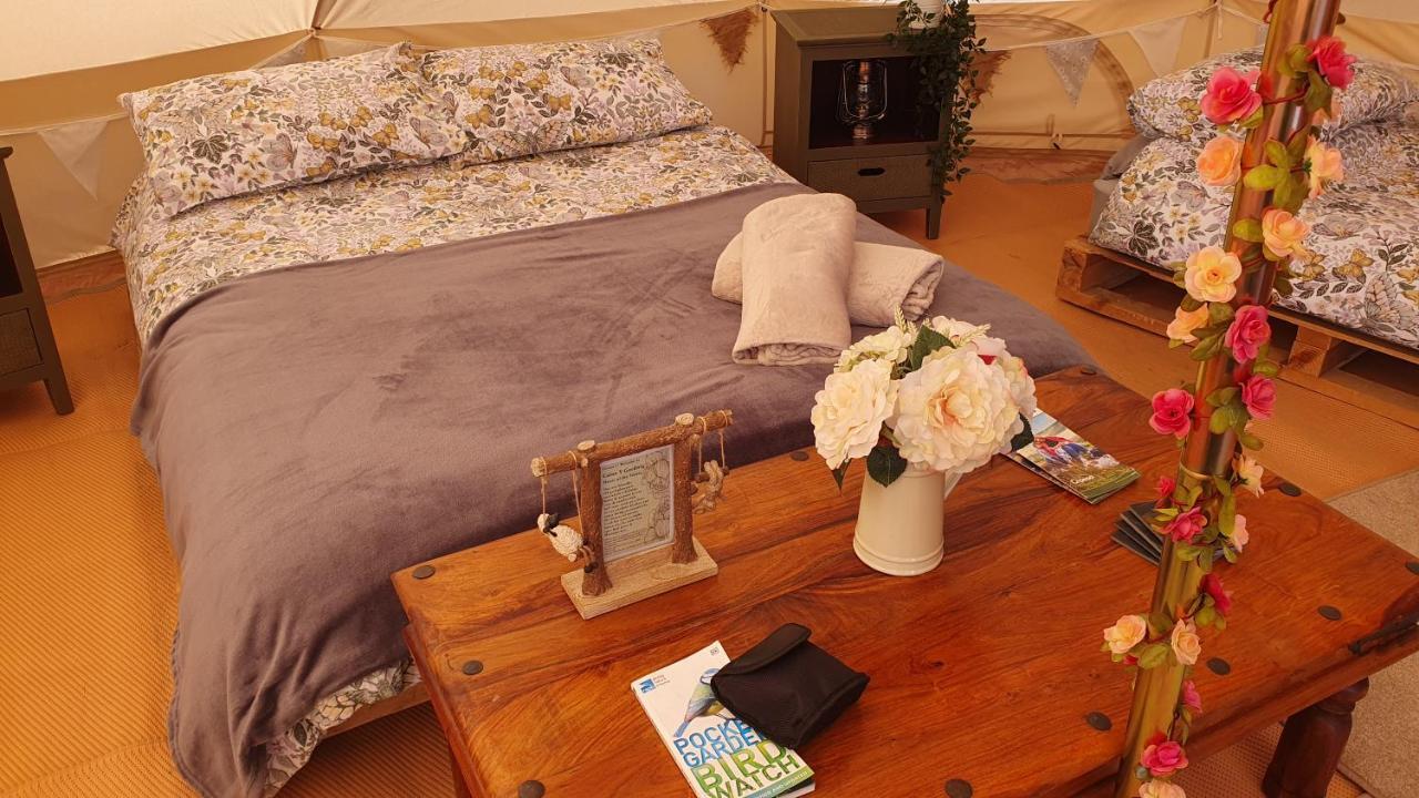 Calon Y Goedwig Glamping Hotel Llandovery Eksteriør billede