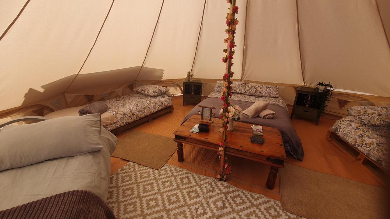 Calon Y Goedwig Glamping Hotel Llandovery Eksteriør billede