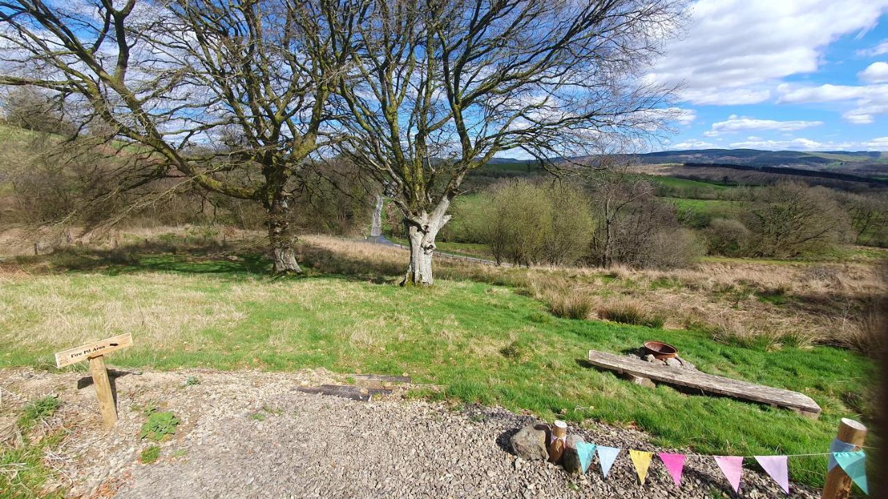 Calon Y Goedwig Glamping Hotel Llandovery Eksteriør billede