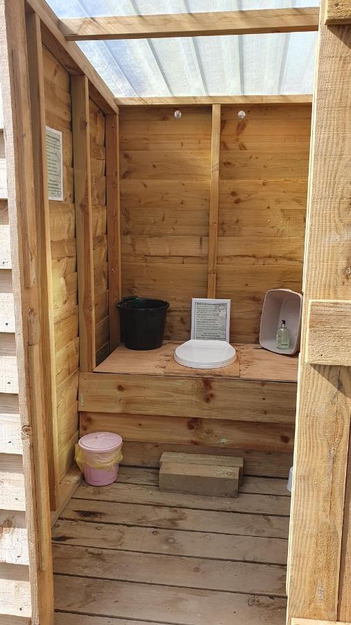 Calon Y Goedwig Glamping Hotel Llandovery Eksteriør billede