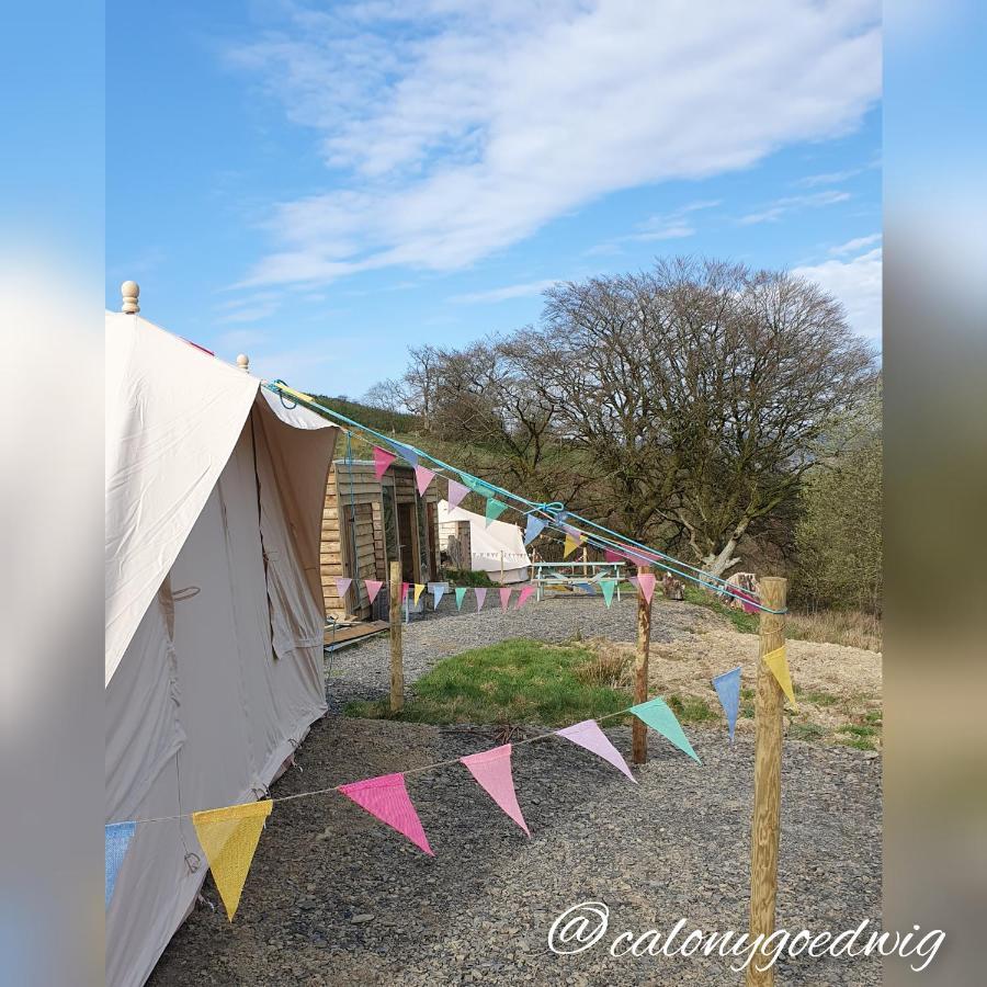 Calon Y Goedwig Glamping Hotel Llandovery Eksteriør billede