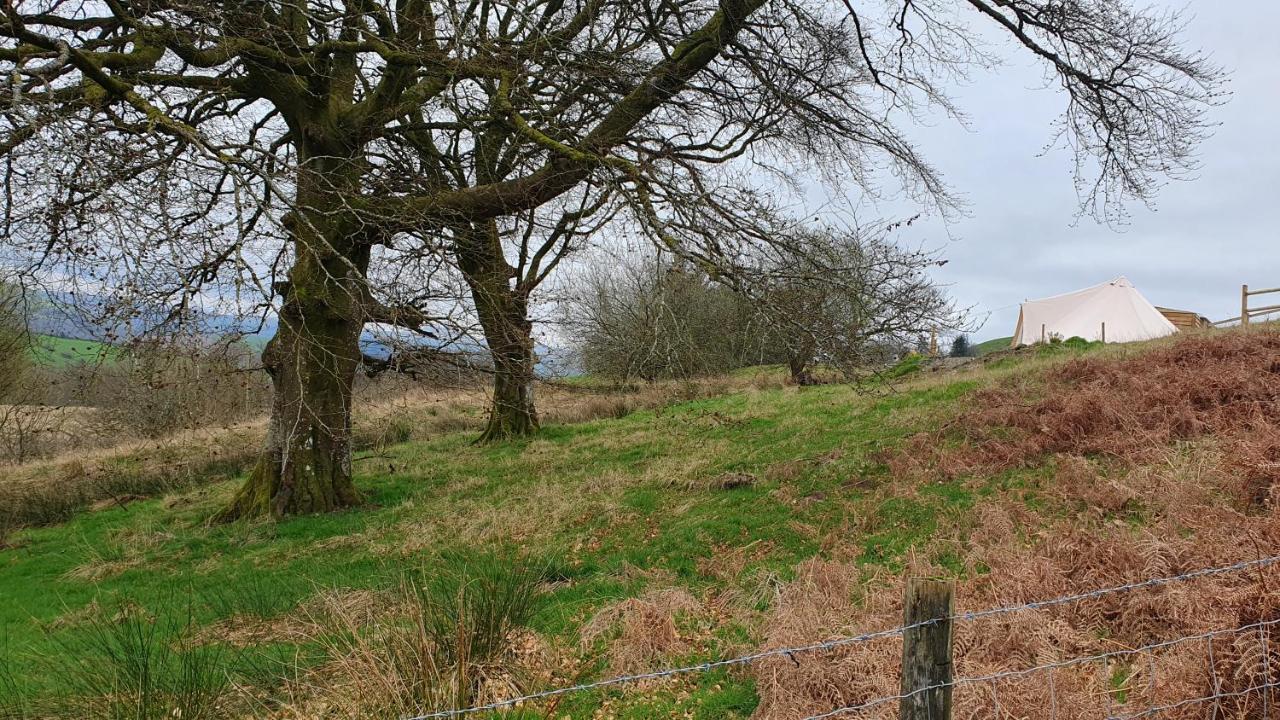 Calon Y Goedwig Glamping Hotel Llandovery Eksteriør billede