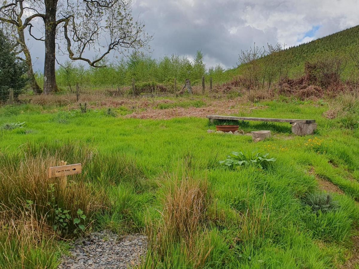Calon Y Goedwig Glamping Hotel Llandovery Eksteriør billede