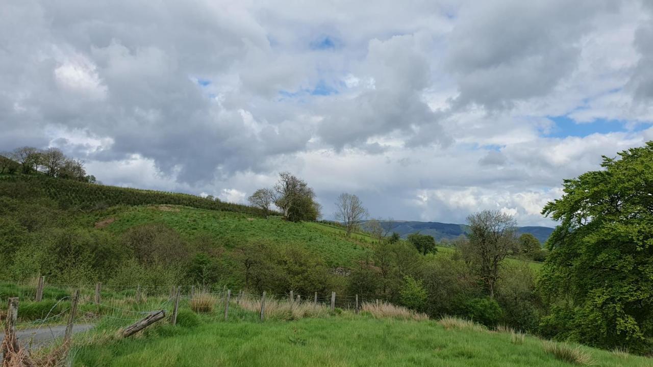 Calon Y Goedwig Glamping Hotel Llandovery Eksteriør billede