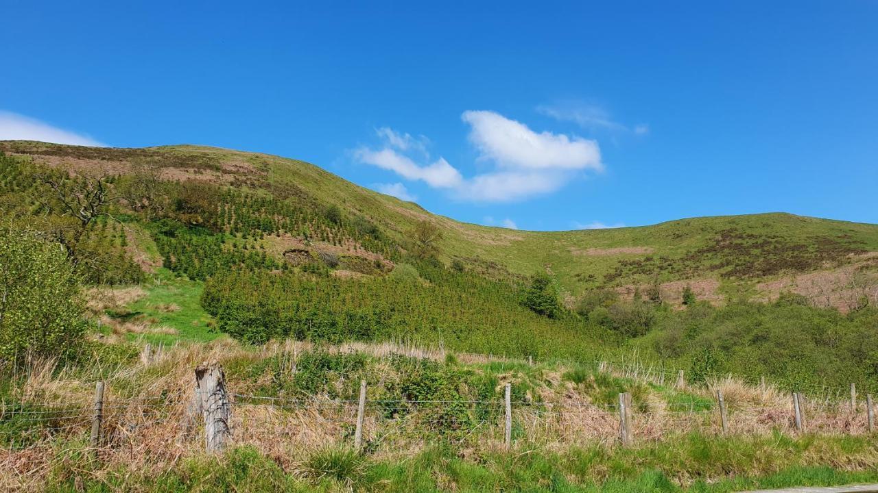 Calon Y Goedwig Glamping Hotel Llandovery Eksteriør billede