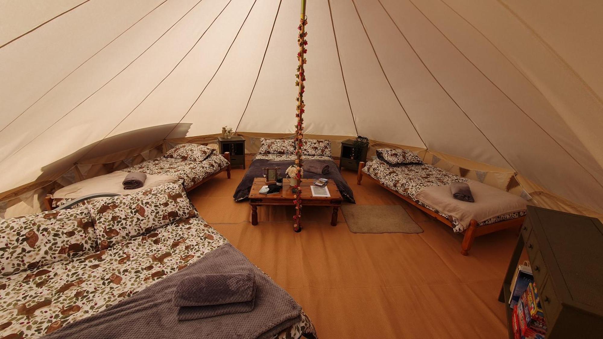 Calon Y Goedwig Glamping Hotel Llandovery Eksteriør billede
