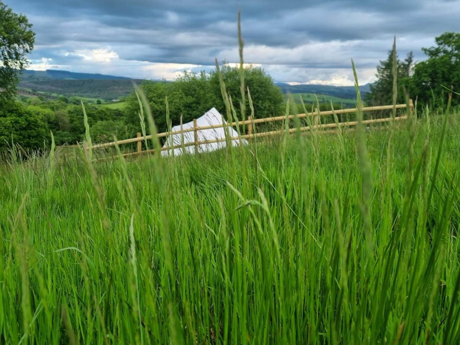Calon Y Goedwig Glamping Hotel Llandovery Eksteriør billede